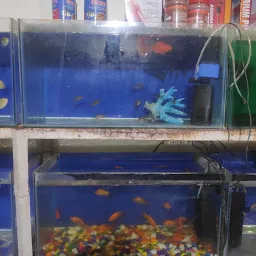 Kushbu Fish Aquarium