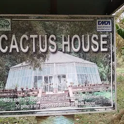 Cactus House
