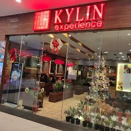 Kylin Experience