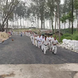 Kyokushin Karate Gurukul