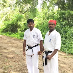 Kyokushin Karate School