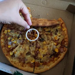 La pino'z pizza udaipur (chetak circle)