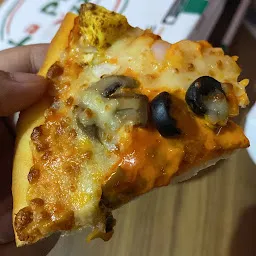 La Pino'z pizza udaipur (sec 5)