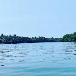 LAKE BAY CRUISES (Backwater Boating )