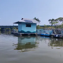 LAKE BAY CRUISES (Backwater Boating )