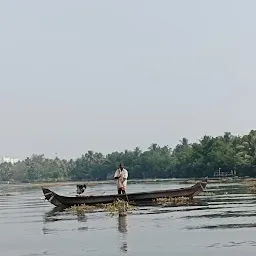 LAKE BAY CRUISES (Backwater Boating )