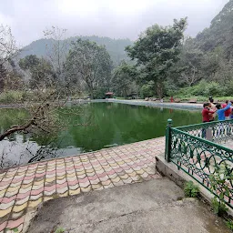 Lake: Nal Dayamanti, June Estate