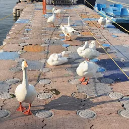 Lake Princess Cruise, Boat Club, Upper Lake Bhopal