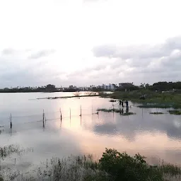 LAKE VIEW SPOT