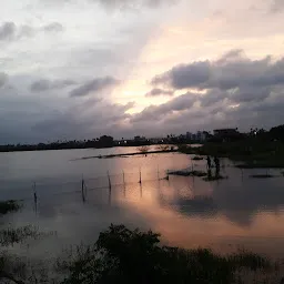 LAKE VIEW SPOT