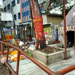 Lal Baba Shiv Mandir