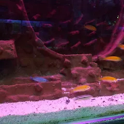 Lal Fish Aquarium Home