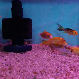 Lal Fish Aquarium Home