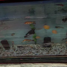 Lal Fish Aquarium Home