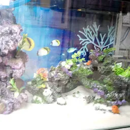 LALA FISH AQUARIUM