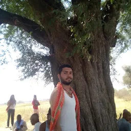 Laparwah Imli Tree ,banpur