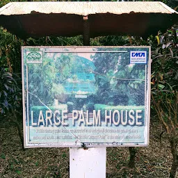 Large Palm House