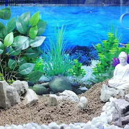 Laxmi fish aquarium shop