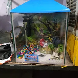 Laxmi fish aquarium shop