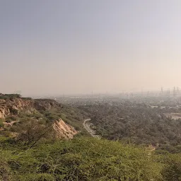 Leopard Trail Gurgaon-Aravali Hills