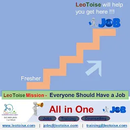 LeoToise Consultancy & Services