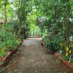 Lifeline Herbal Garden