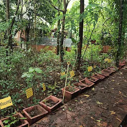 Lifeline Herbal Garden