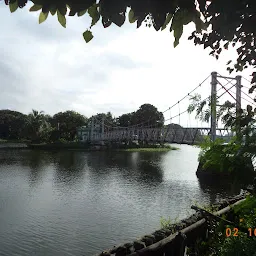 লিলি পুল