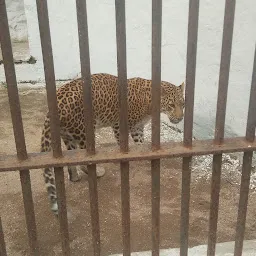 Lion and Leopard Park