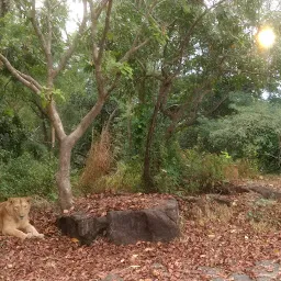 Lion Safari Parks Neyyar