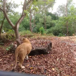 Lion Safari Parks Neyyar