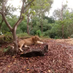 Lion Safari Parks Neyyar