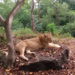 Lion Safari Parks Neyyar