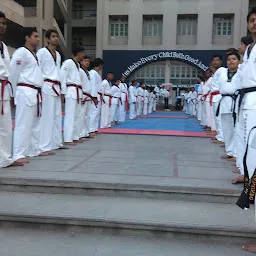 Lionheart Taekwondo Academy