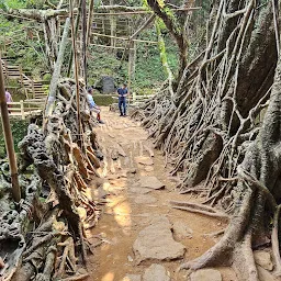 Living Root Bridge, Riwai Village