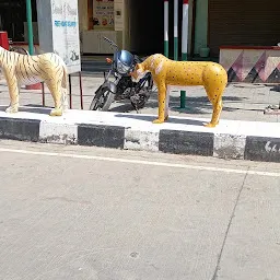 Local Market