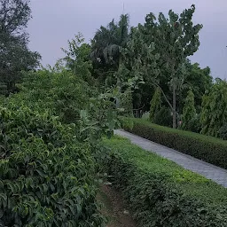 Lohiya garden