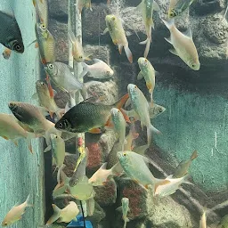 Lokaranjan Aqua World Underwater Zoo