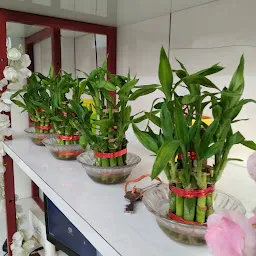 London Orchids Florist Shop