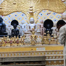 Lordganj Digambar Jain Mandir