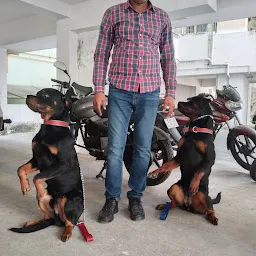 Lucknow Professional Dog Trainer