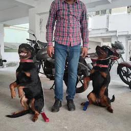 Lucknow Professional Dog Trainer