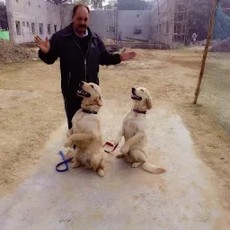 Lucknow Professional Dog Trainer