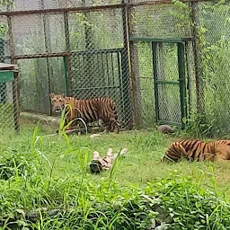 Lucknow zoo