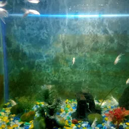 Lucknow Zoo Aquarium