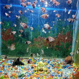 Lucknow Zoo Aquarium