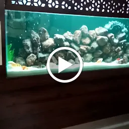 Lucky Fish point Aquarium
