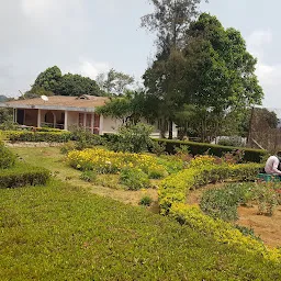 Lucy Garden - Plants Nursery in Mannuthy, Thrissur