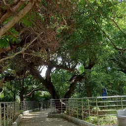 M.N. Krishna Rao Park