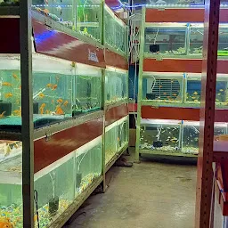 M.R.Aquarium